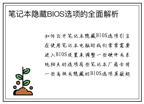 笔记本隐藏BIOS选项的全面解析